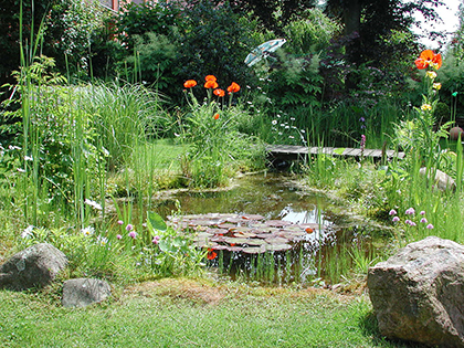Ein kleiner, romantischer Teich im Garten.